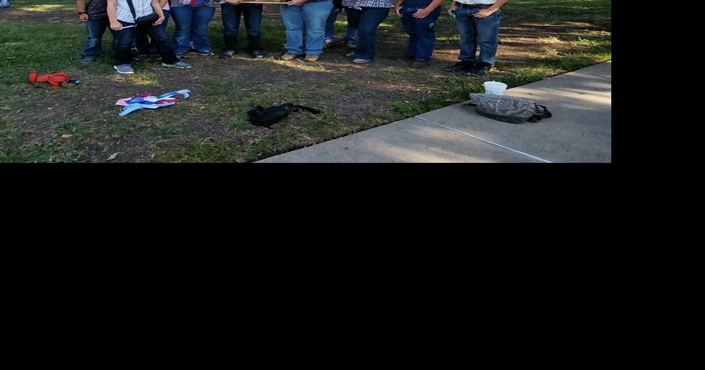 Southeast Kansas 4-H youth test livestock knowledge