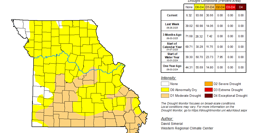 90% of Missouri in drought, soybean monitoring report predicts decline in yield
