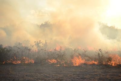 How to use burns as a safe, effective tool to manage pasture for livestock and wildlife