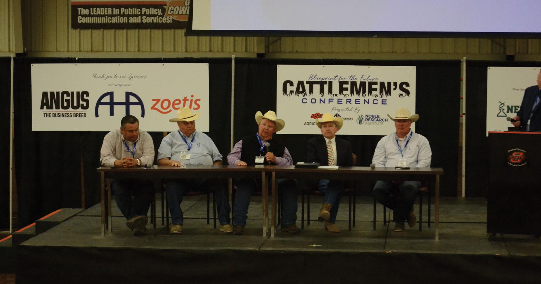 How livestock judges and showman exhibit ethics in the show ring - Vimarsana News