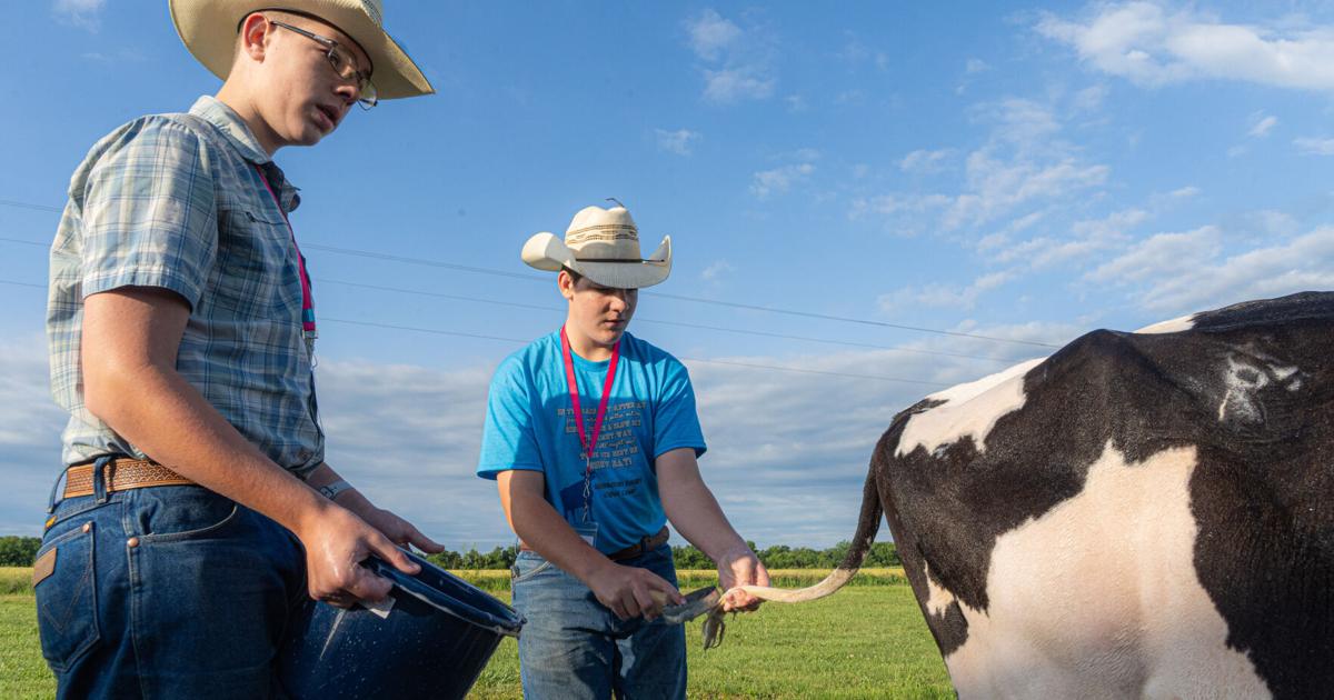 Missouri 4-H hosts largest Dairy Cow Camp ever