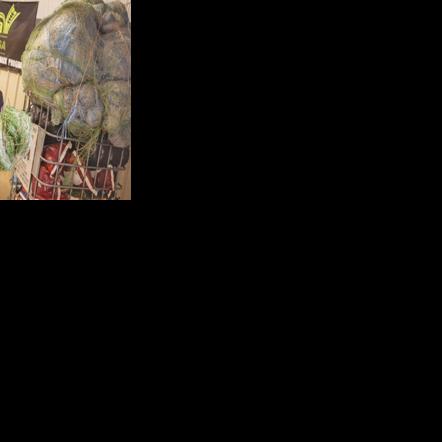 Students recycle bale wrap in Oklahoma contest