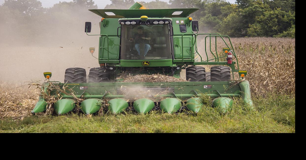 USDA forecasts record corn yield and production, decreased soybean production