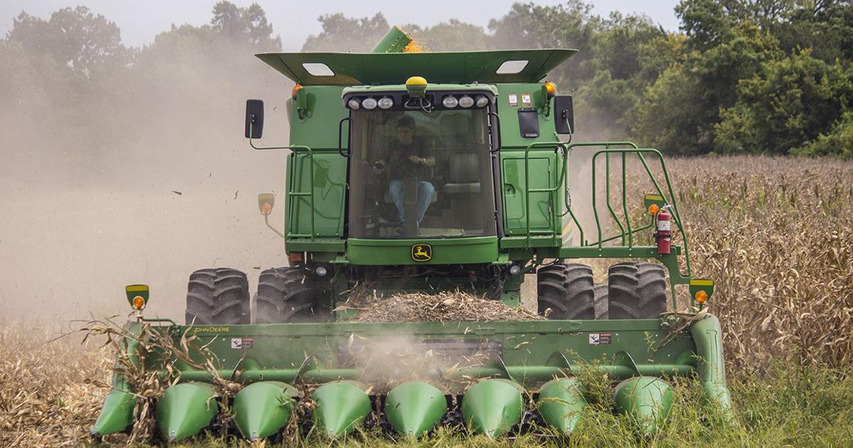USDA forecasts record corn yield and production, decreased soybean production