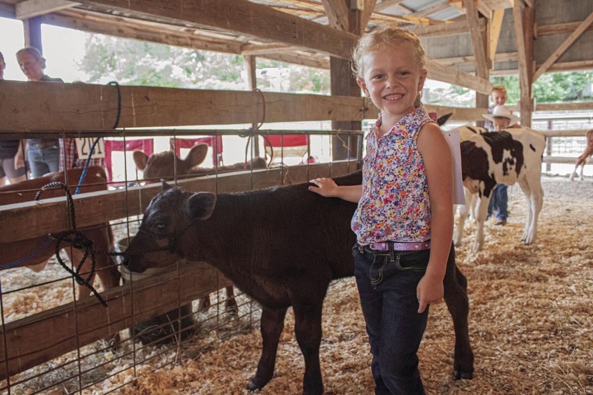 Bull riding returns to Moniteau County Fairgrounds