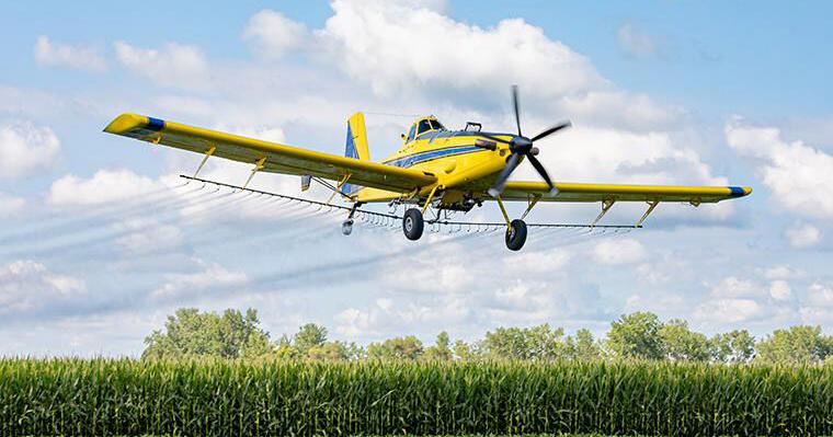 Consider ROI before applying fungicides