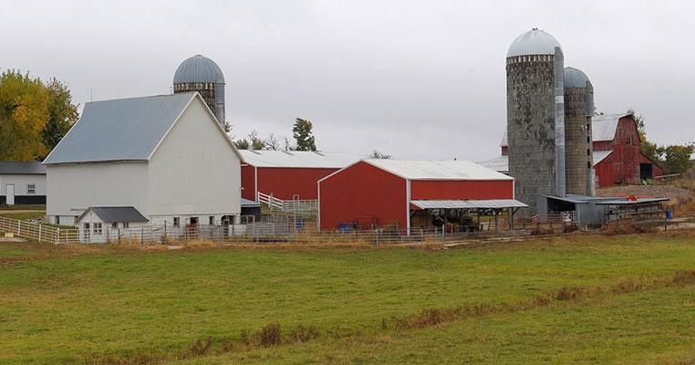 Kansas net farm income surges in 2025