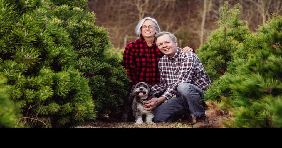 Delaware Town Tree Farm provides an evergreen experience for