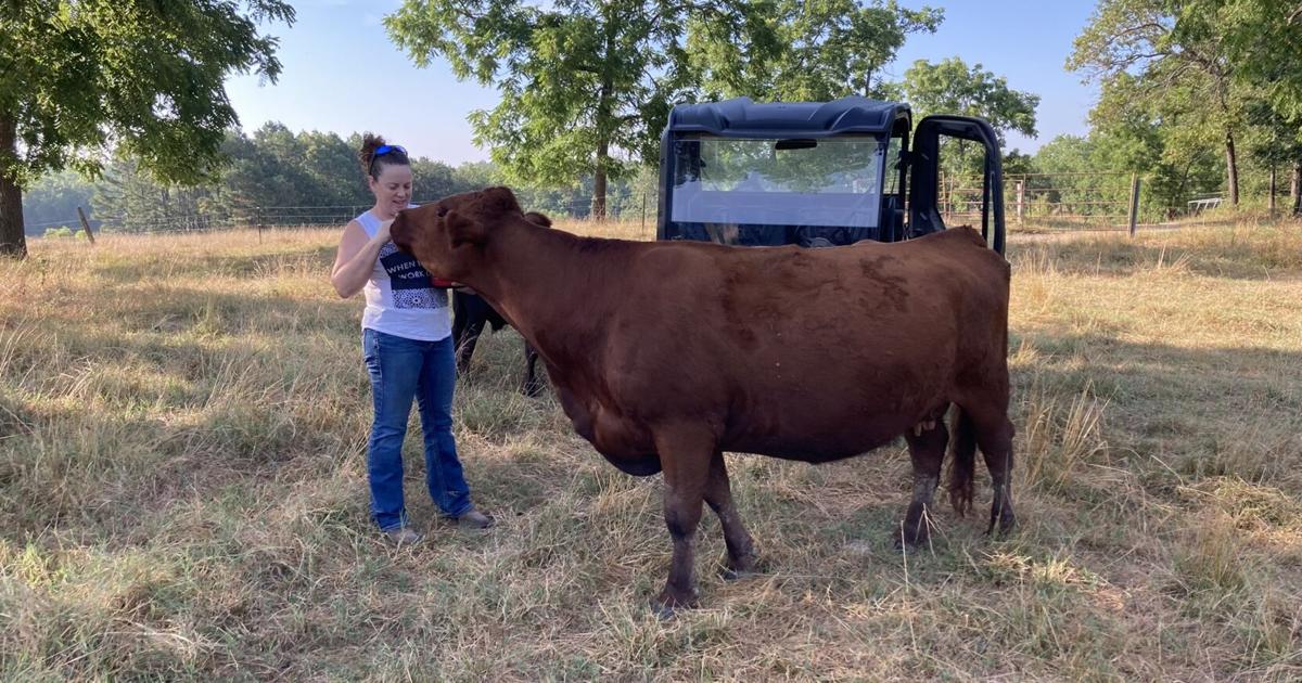 March 21 workshop for direct-to-consumer sales strategies | News March 21 workshop for direct-to-consumer sales strategies | News