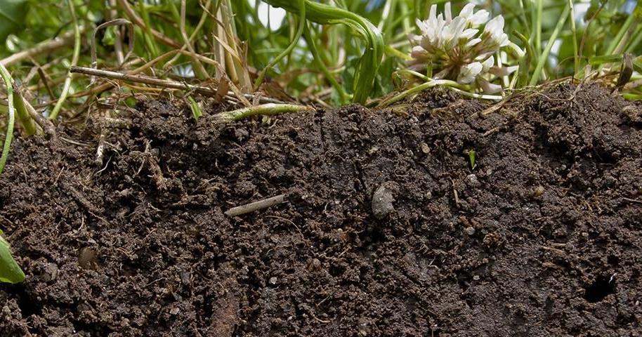 Nominate a Kansas producer, landowner for conservation award by Dec. 5