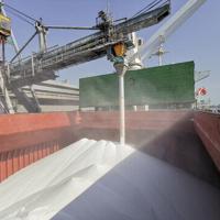 Global urea prices rise with Middle East conflict