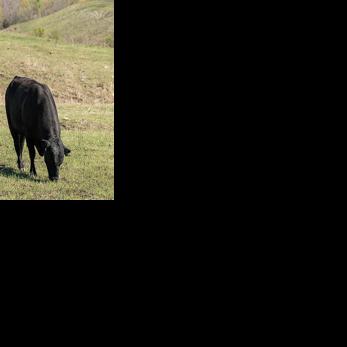 Kansas Leopold Conservation Award goes to Wiltse family