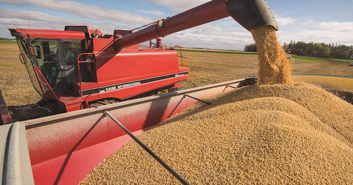 USDA data dump shows minimal soybean sales to China, record U.S. corn crop