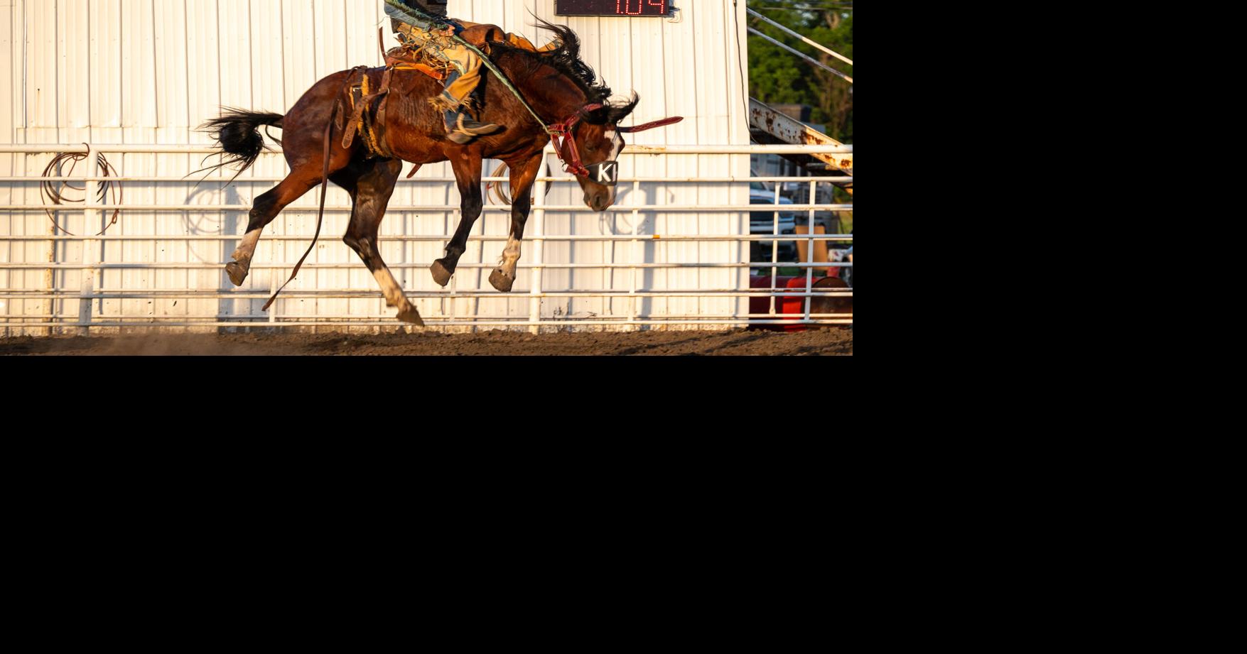 Bourbon County Fair Kicks Off with Thrilling Rodeo Events