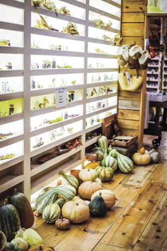 Storefront