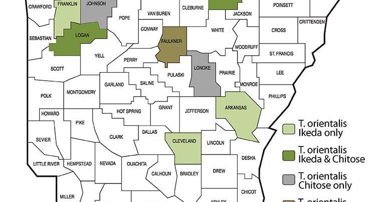 UADA researchers track Asian longhorned tick