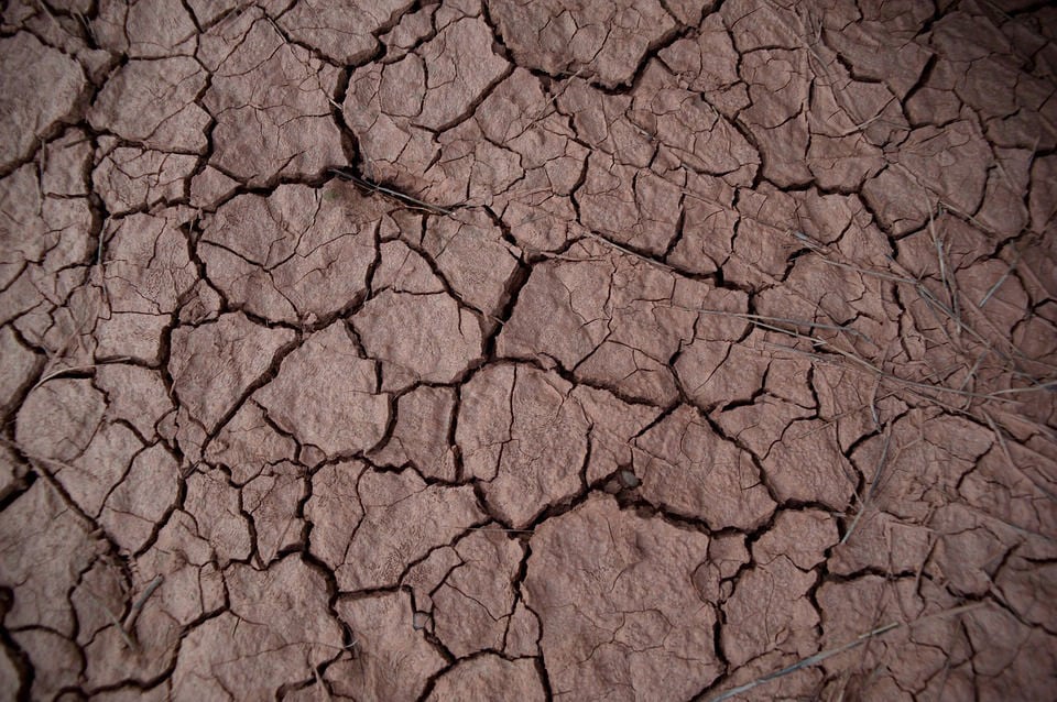 Drought starting to affect Missouri livestock News