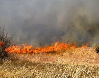 grass fire