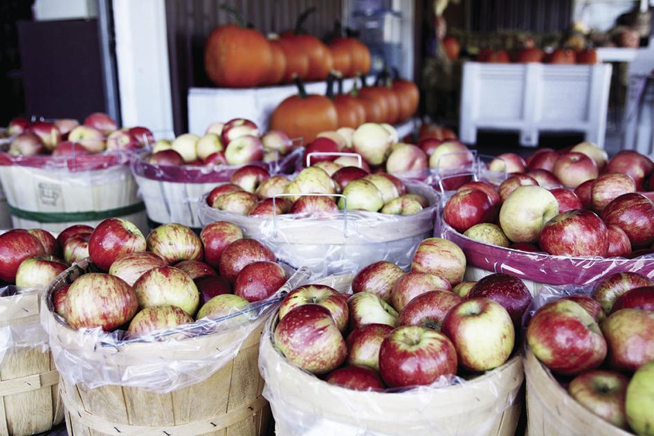 Southwest Missouri orchard focuses on fresh tastes, quality produce