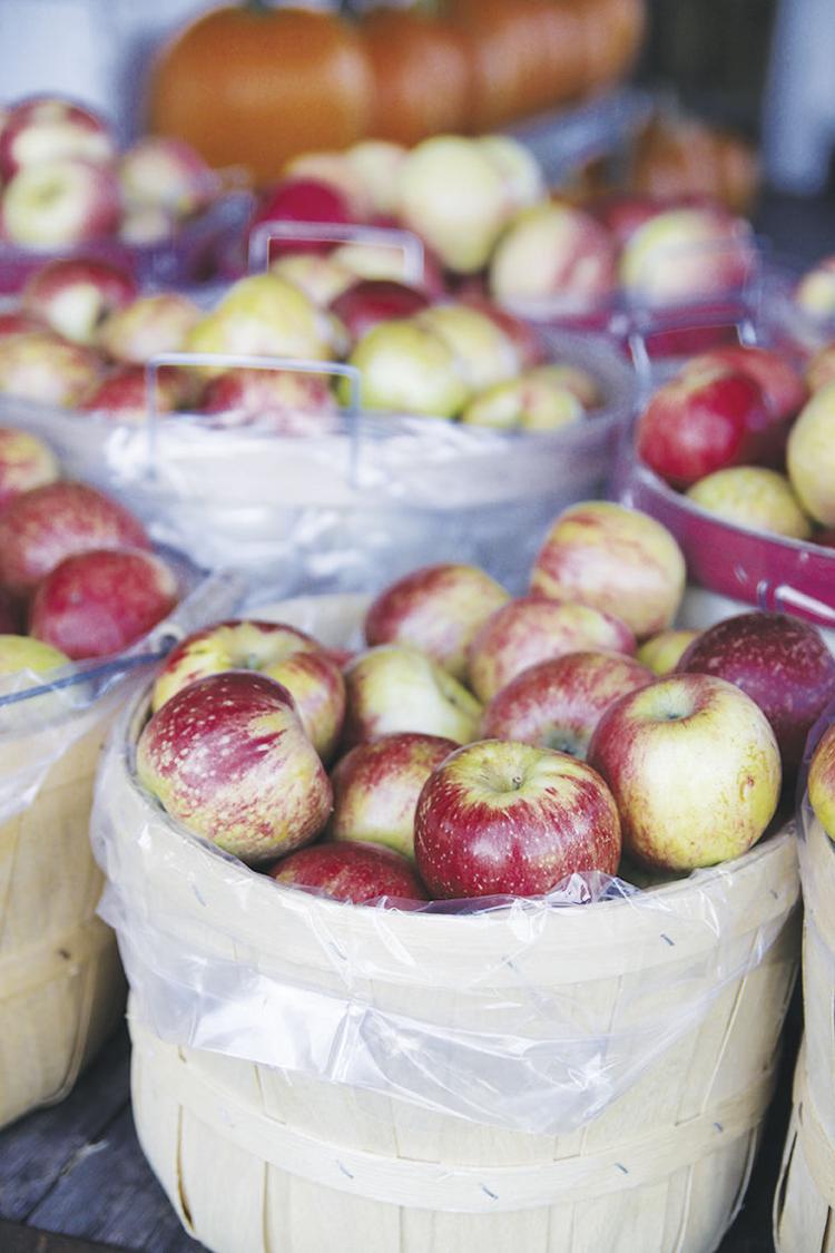 Southwest Missouri orchard focuses on fresh tastes, quality produce News
