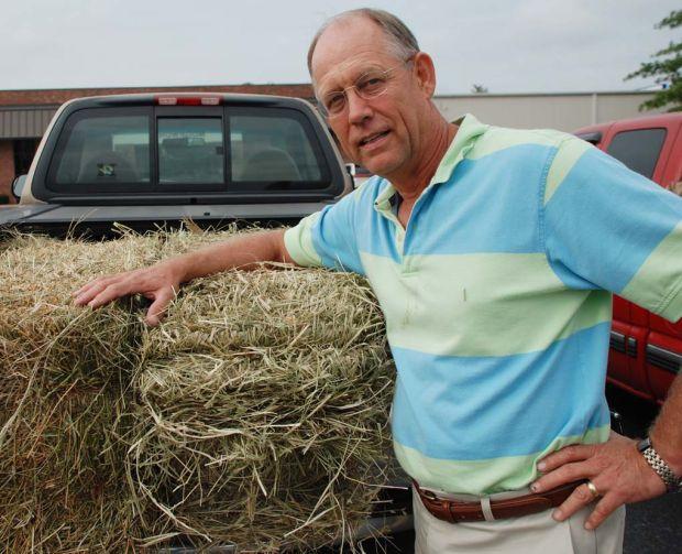 Teff Takes Off For Sw Mo Producer News Farmtalknewspaper Com