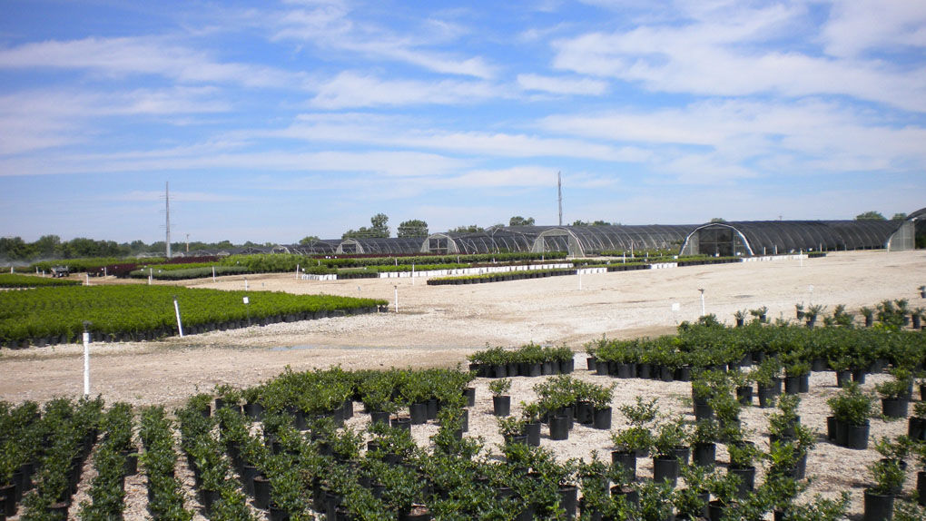 Nursery Does More Than Add Eye Eal To Old Quarry Site In Ottawa Loma Vista Nursery