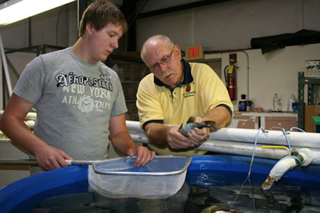 A growing experience in agriculture News