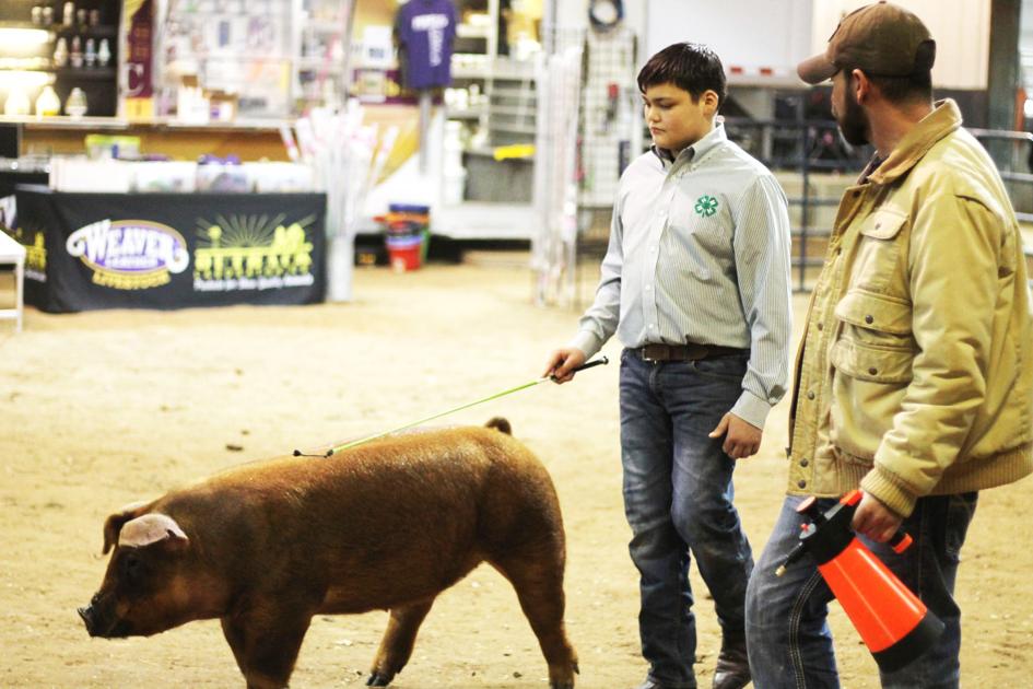 Oklahoma organization changes lives with livestock show projects News