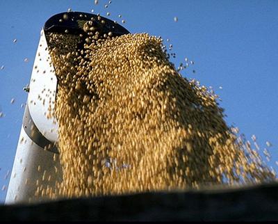 soybean auger