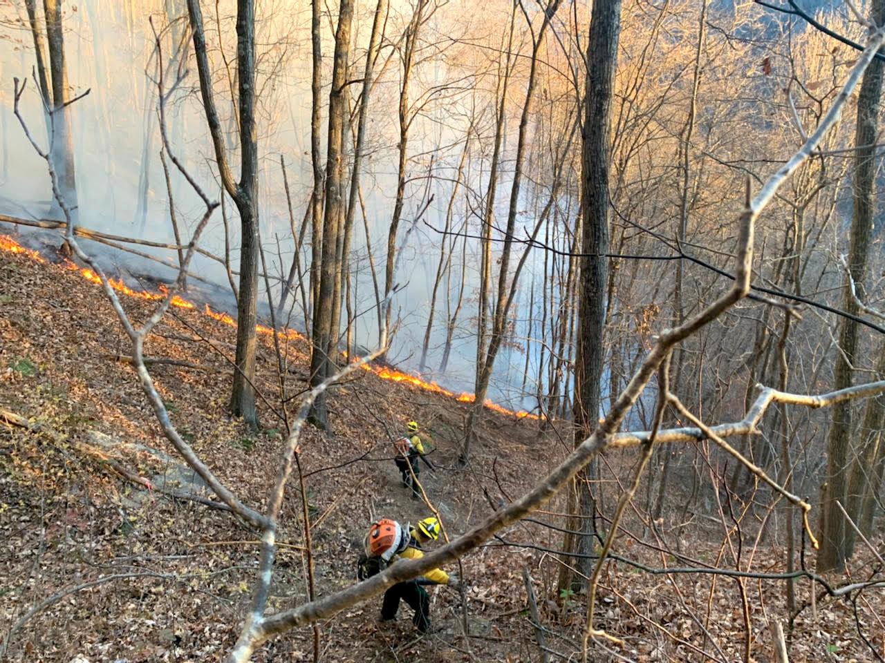 Crews battle New River fire News