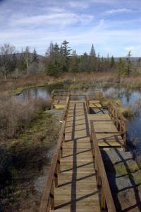 Canaan Valley National Wildlife Refuge