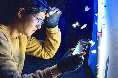 How are scientists using AI to protect environment?
