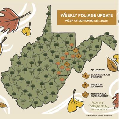 Fall Foliage Prediction Map 2020 Virginia West Virginia Tourism Releases First Fall Foliage Report | News |  Fayettetribune.com