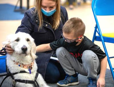 Child visits with therapy dog after vaccination