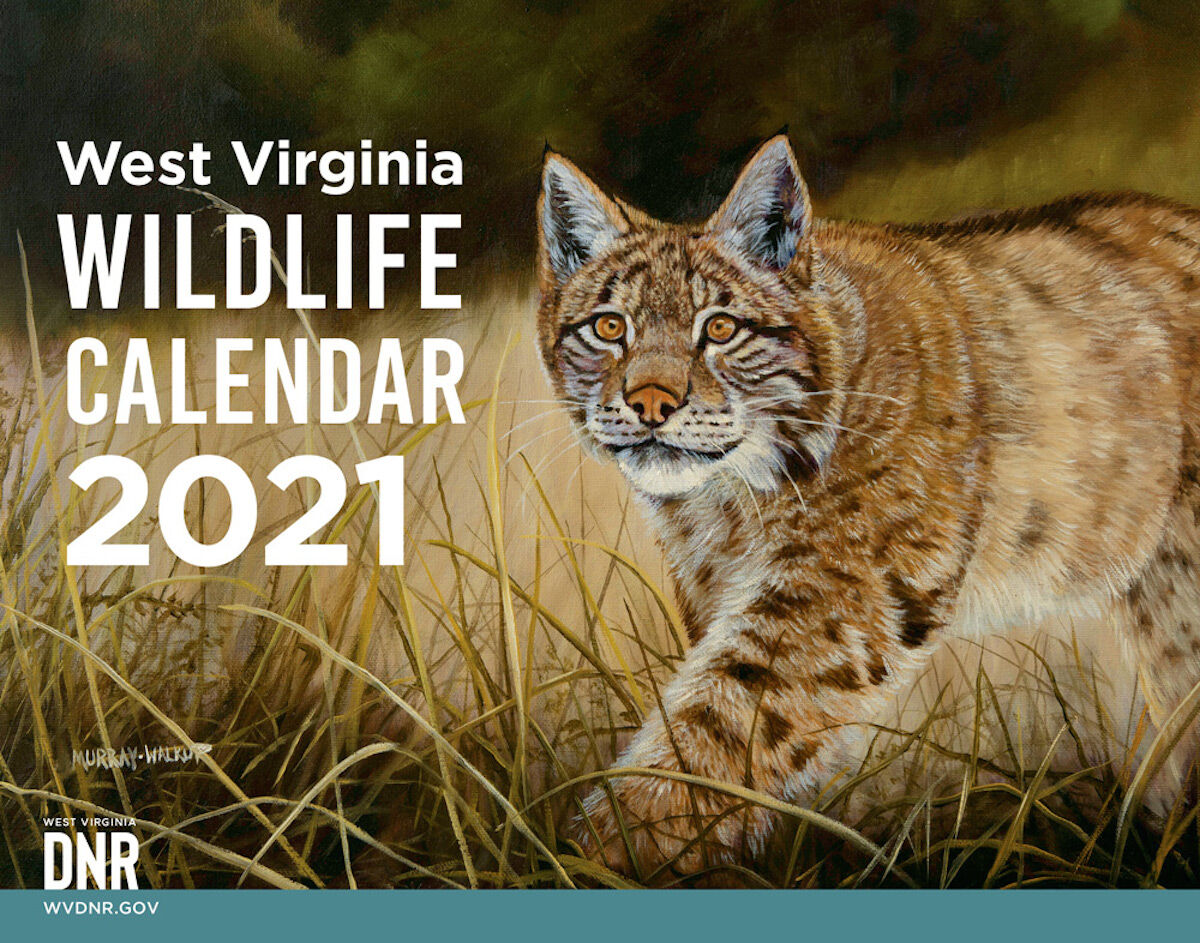Wildlife calendar now available | Sports | fayettetribune.com Wildlife calendar now available | Sports | fayettetribune.com