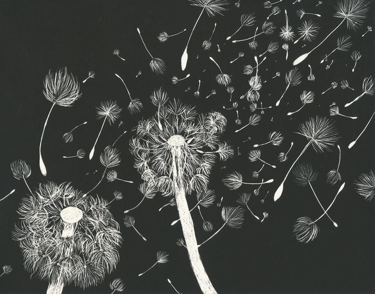 flower scratch art