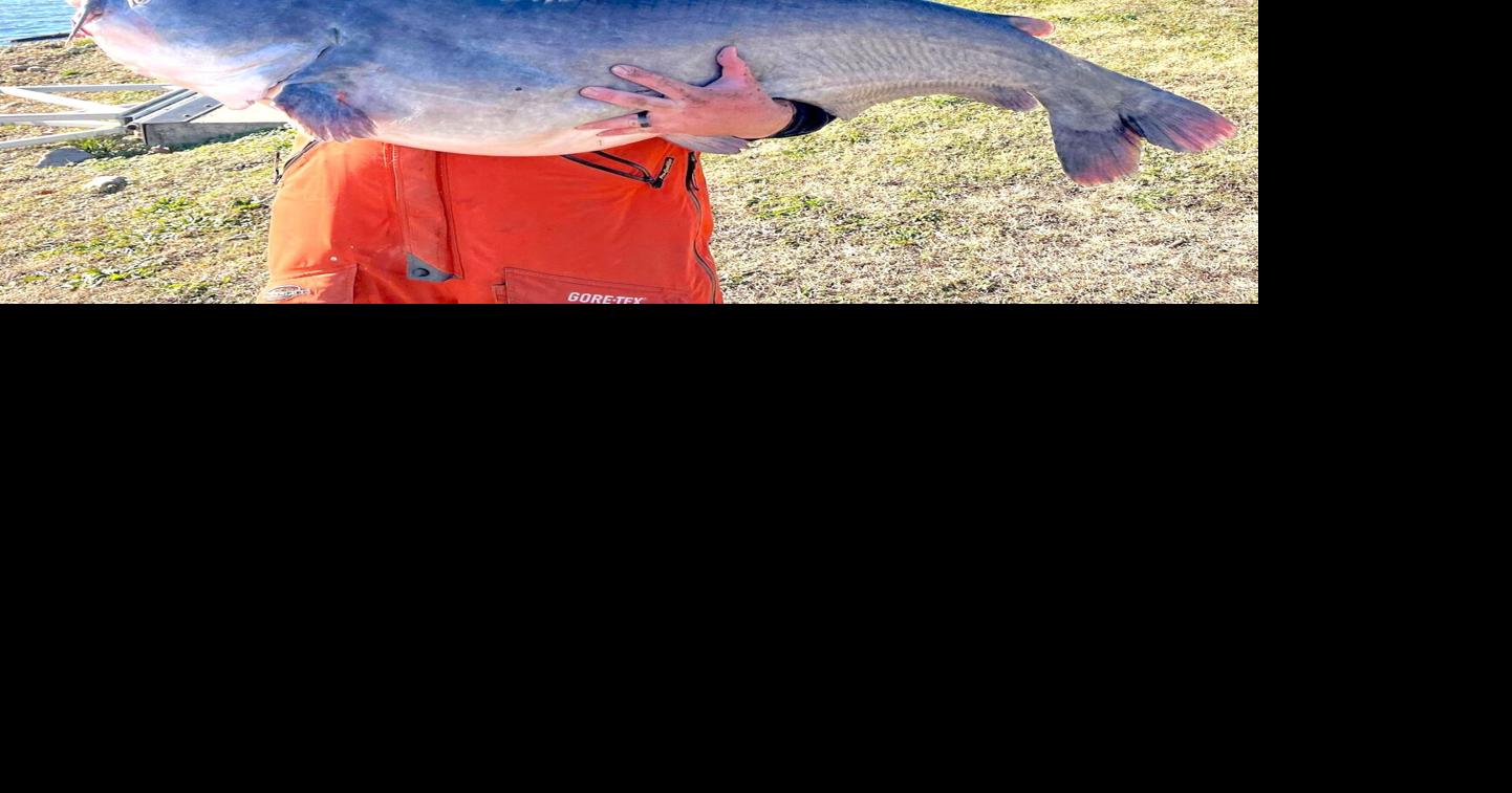 Blue catfish record by weight established | Sports | fayettetribune.com