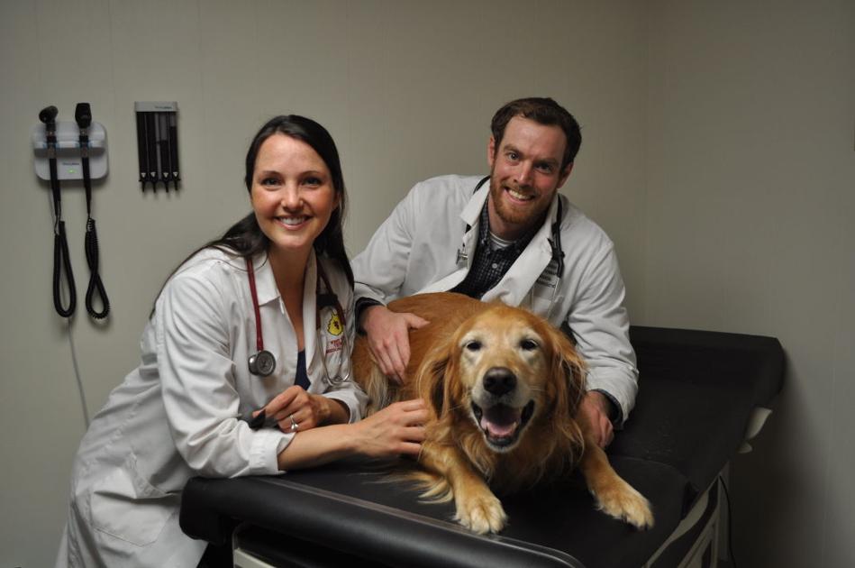 New vet hospital opening News