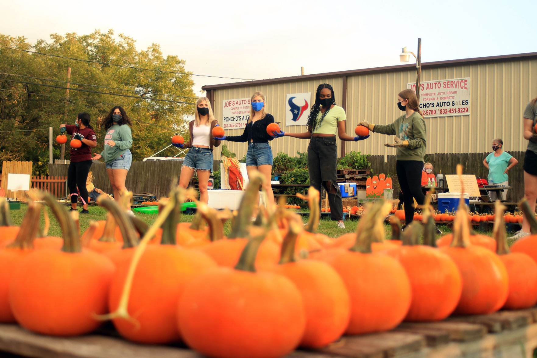 midland tx pumpkin patch