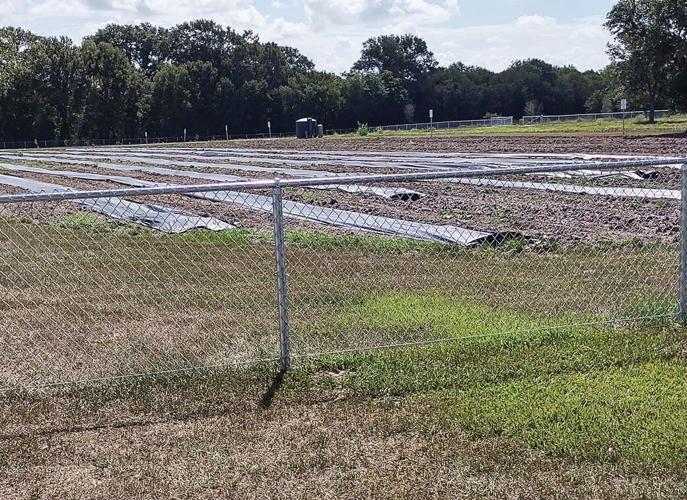 Community garden in Kendleton will provide fresh produce for those in need