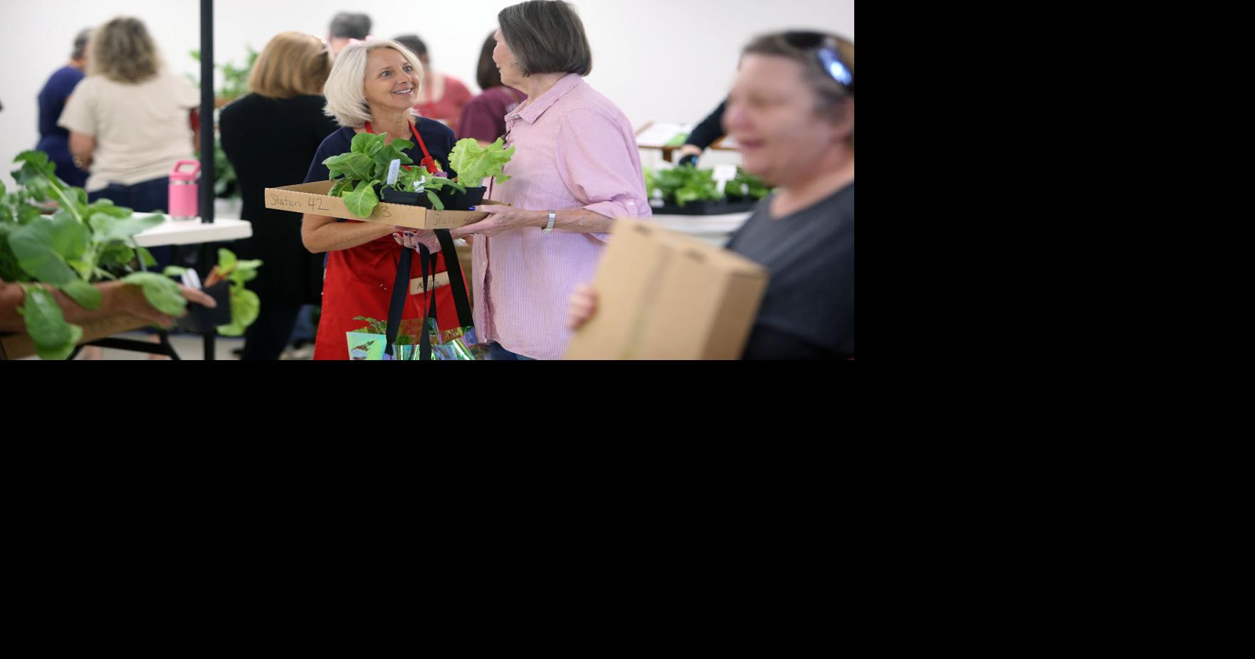 Vegetableherb plant sale set for Oct. 7 Community