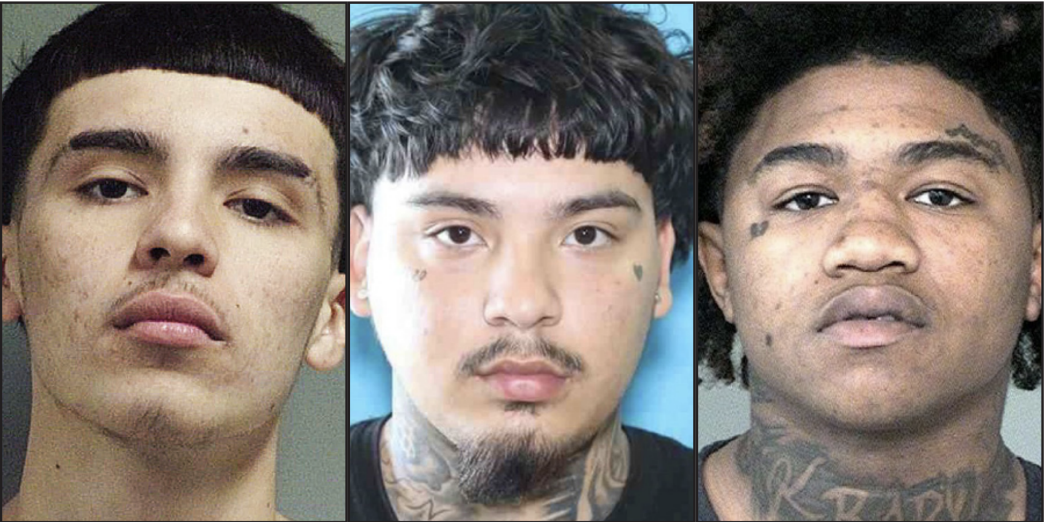 Cops: Gang Pistol-whips 2 Men At Park | Police Beat | Fbherald.com