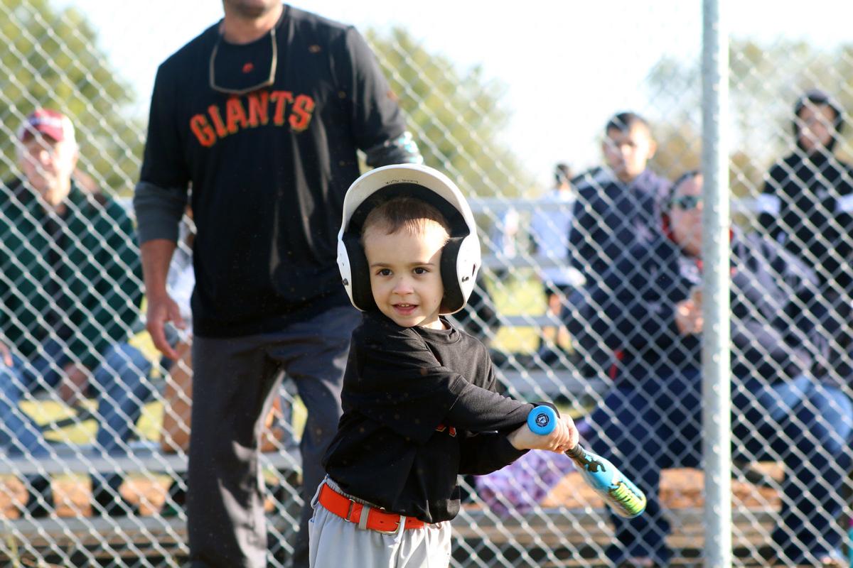 Renovated Harlem Road Park praised for its upgrades Free