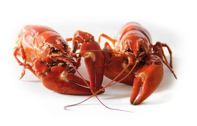 Fair crawfish boil benefit is April 12