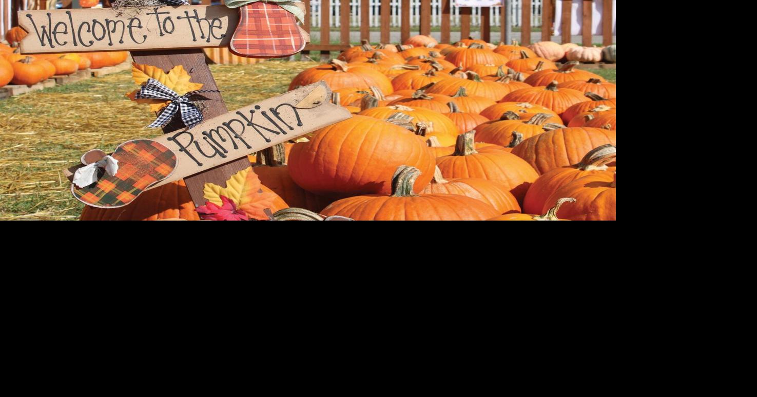 to the Pumpkin Patch Around The Bend