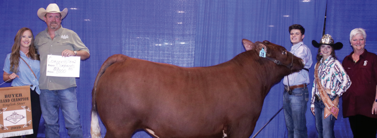 2019 Grand champion English steer