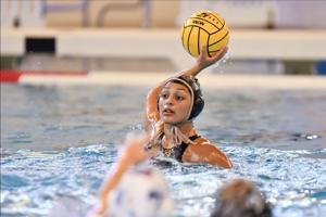 Lady Falcons state bound - again