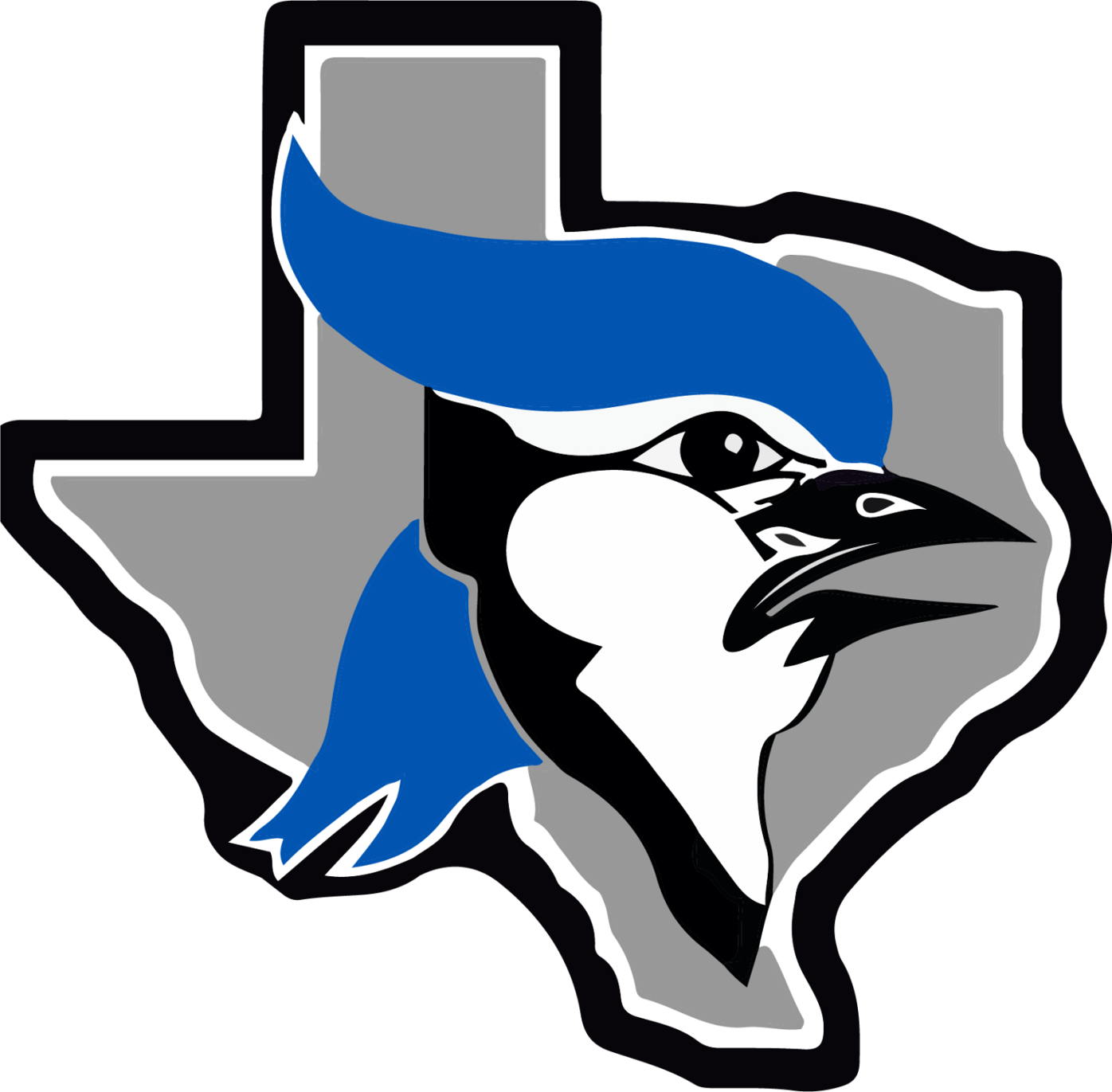 Needville ISD announces plans for 2020-21 school year | News | fbherald.com