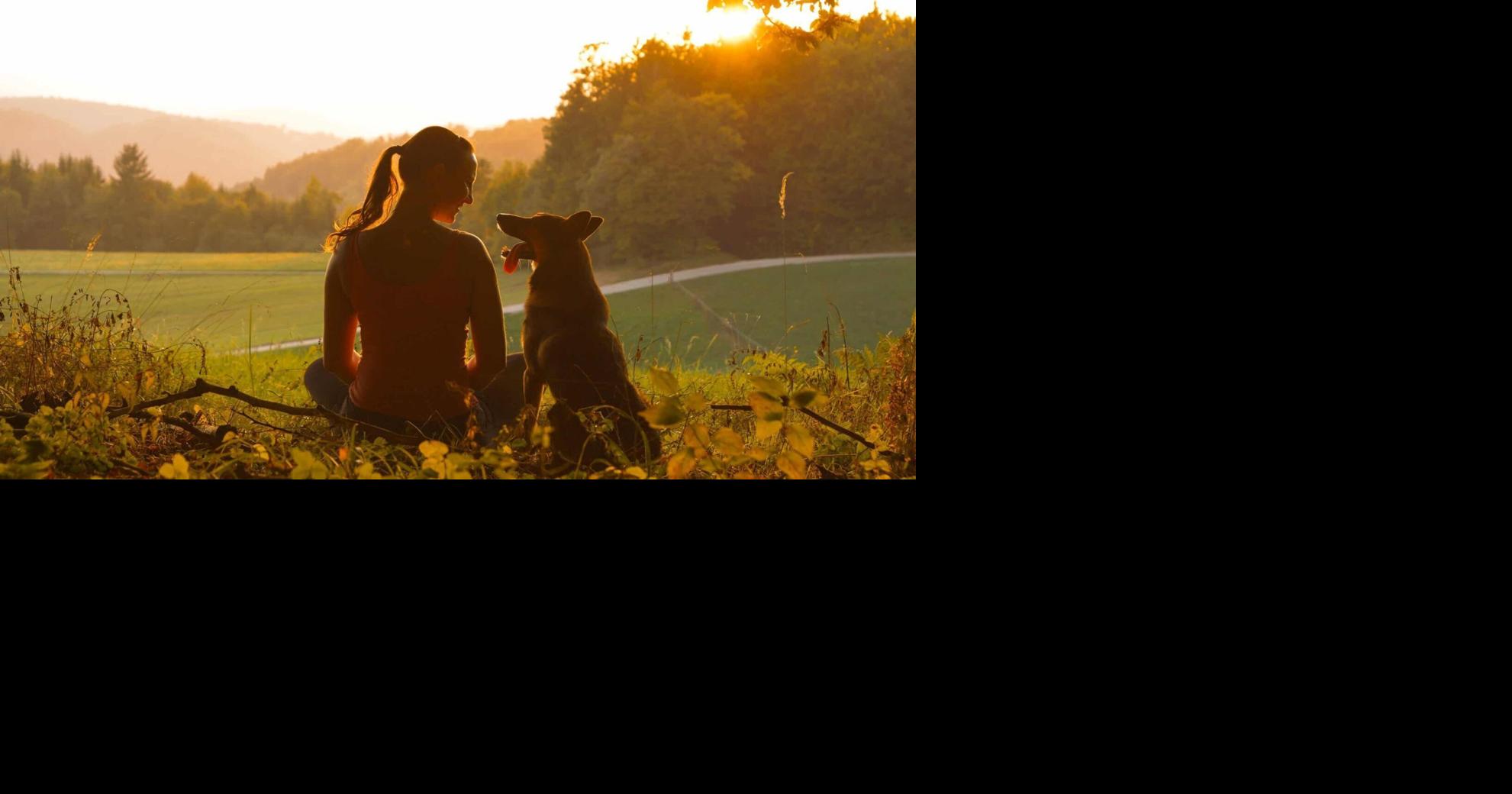 Top Dog Nations: These Countries Are the World’…