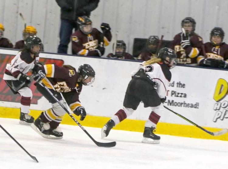 Fergus Falls 10U A girls’ hockey competes against top talent at 10U